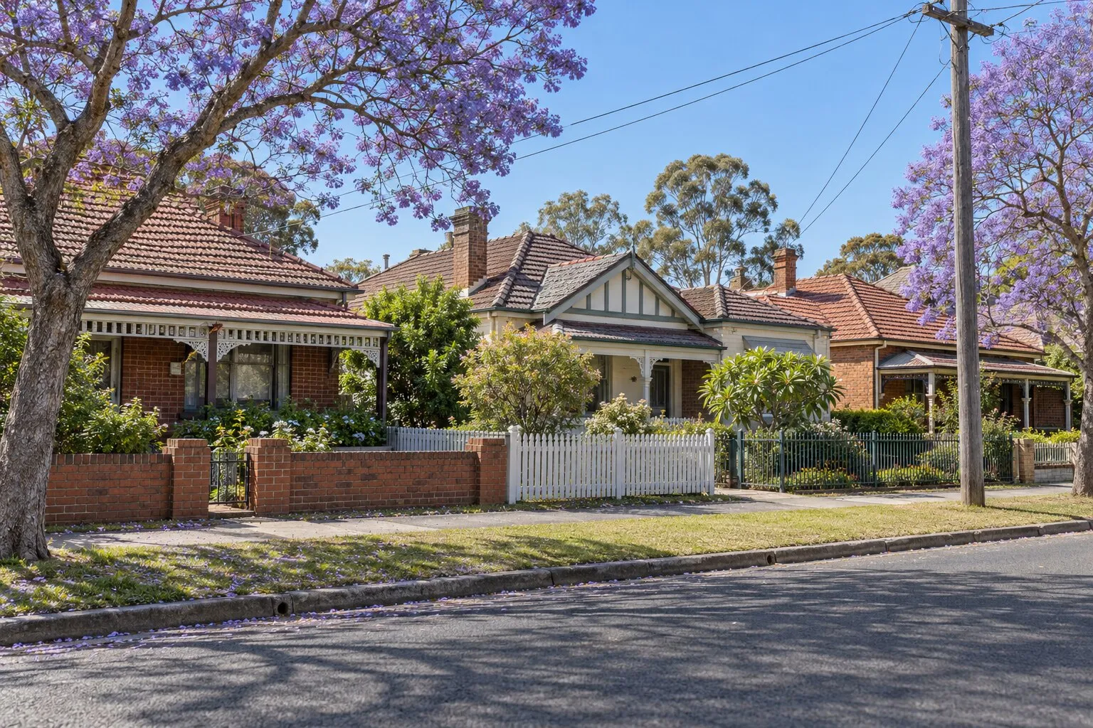 Front fences, East Maitland: Federation brick homes with picket, brick and steel front fences under jacarandas